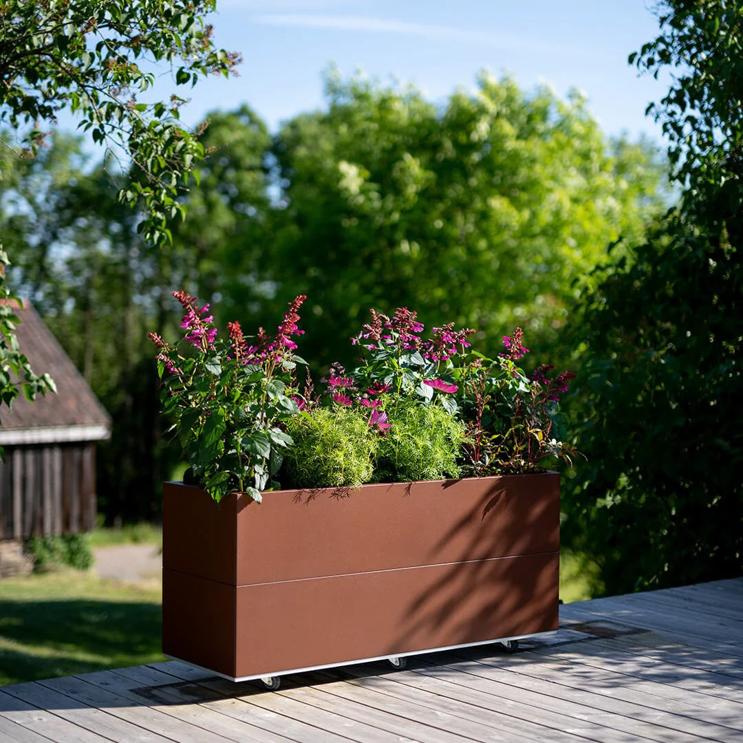 BEDD 120 x 60 x h50 cm er den største plantekasse som kan utstyres med hjul. Den er lang og dyp og egner seg for busker, små trær eller andre planter med dype røtter. Høyden gjør den enkel å komme til for pleie av planten.