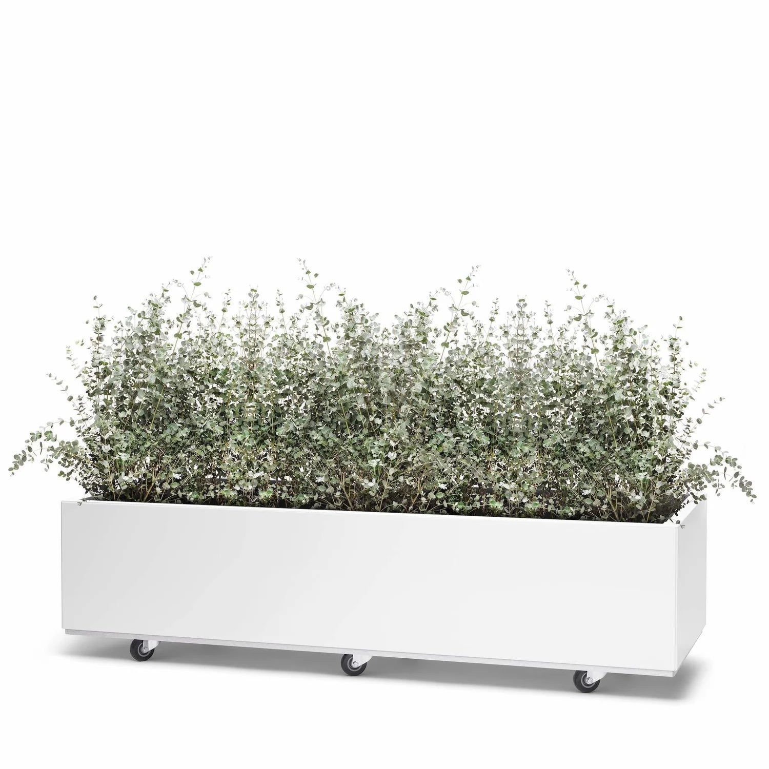 BEDD 120x60 h25 cm plantekasse med bunn og hjul/ben i fargen hviit