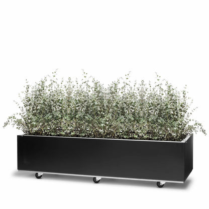 BEDD 120x60 h25 cm plantekasse med bunn og hjul/ben i fargen sort